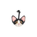 Charm Gato Devon