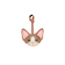 Charm Gato Devon